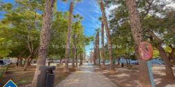 Segunda Mano - Ático - Torrevieja - Centro