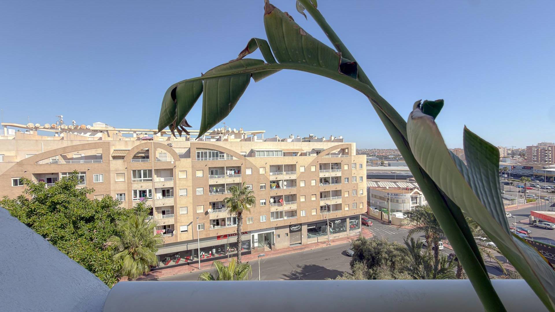 Segunda Mano - Ático - Torrevieja - Centro