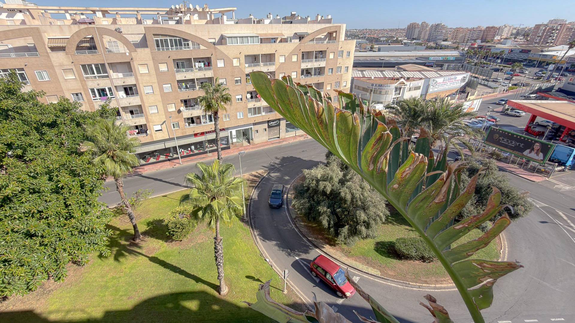 Segunda Mano - Ático - Torrevieja - Centro