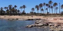 Segunda Mano - Ático - Torrevieja - La veleta