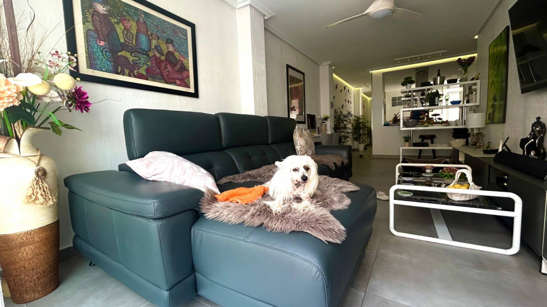 Segunda Mano - Ático - Torrevieja - Playa de los Locos