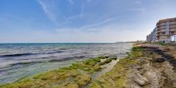 Segunda Mano - Ático - Torrevieja - Playa de los Naufragos