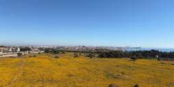 Segunda Mano - Ático - Torrevieja - Punta Prima