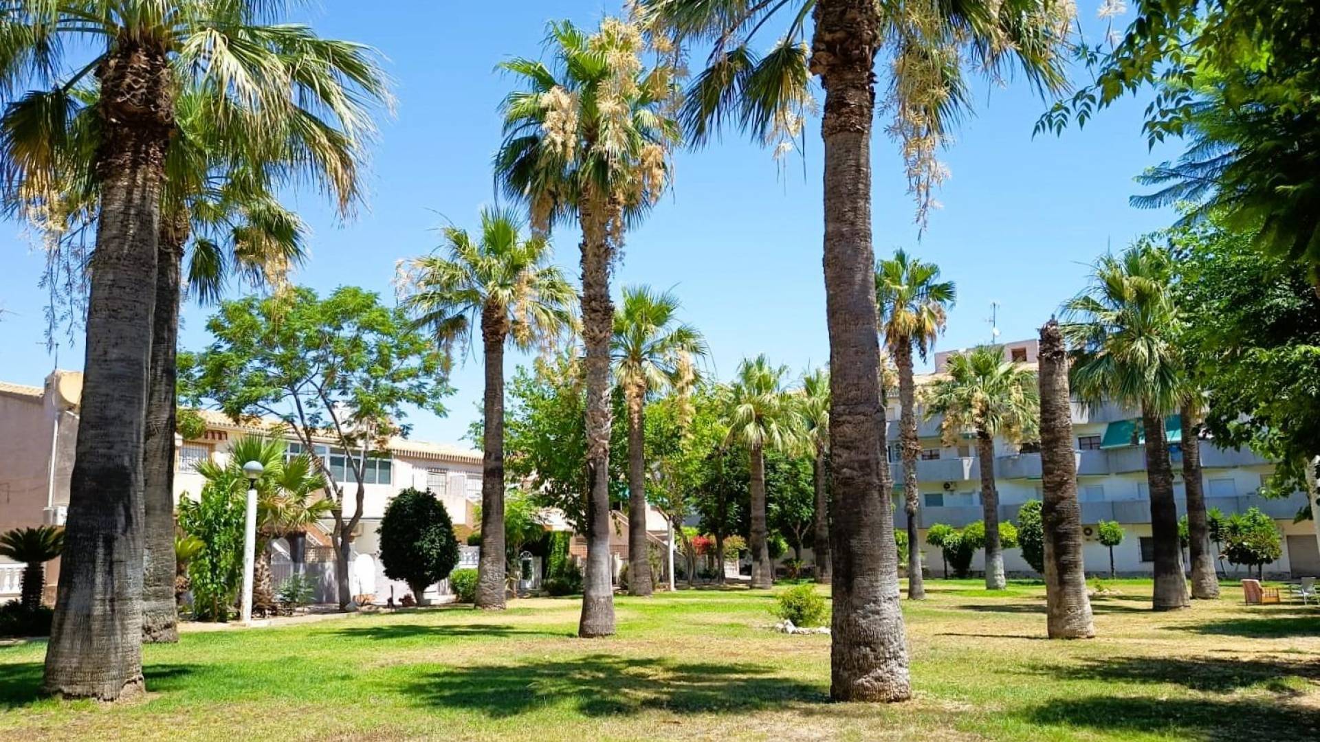 Segunda Mano - Bungalow - Orihuela Costa - La Regia