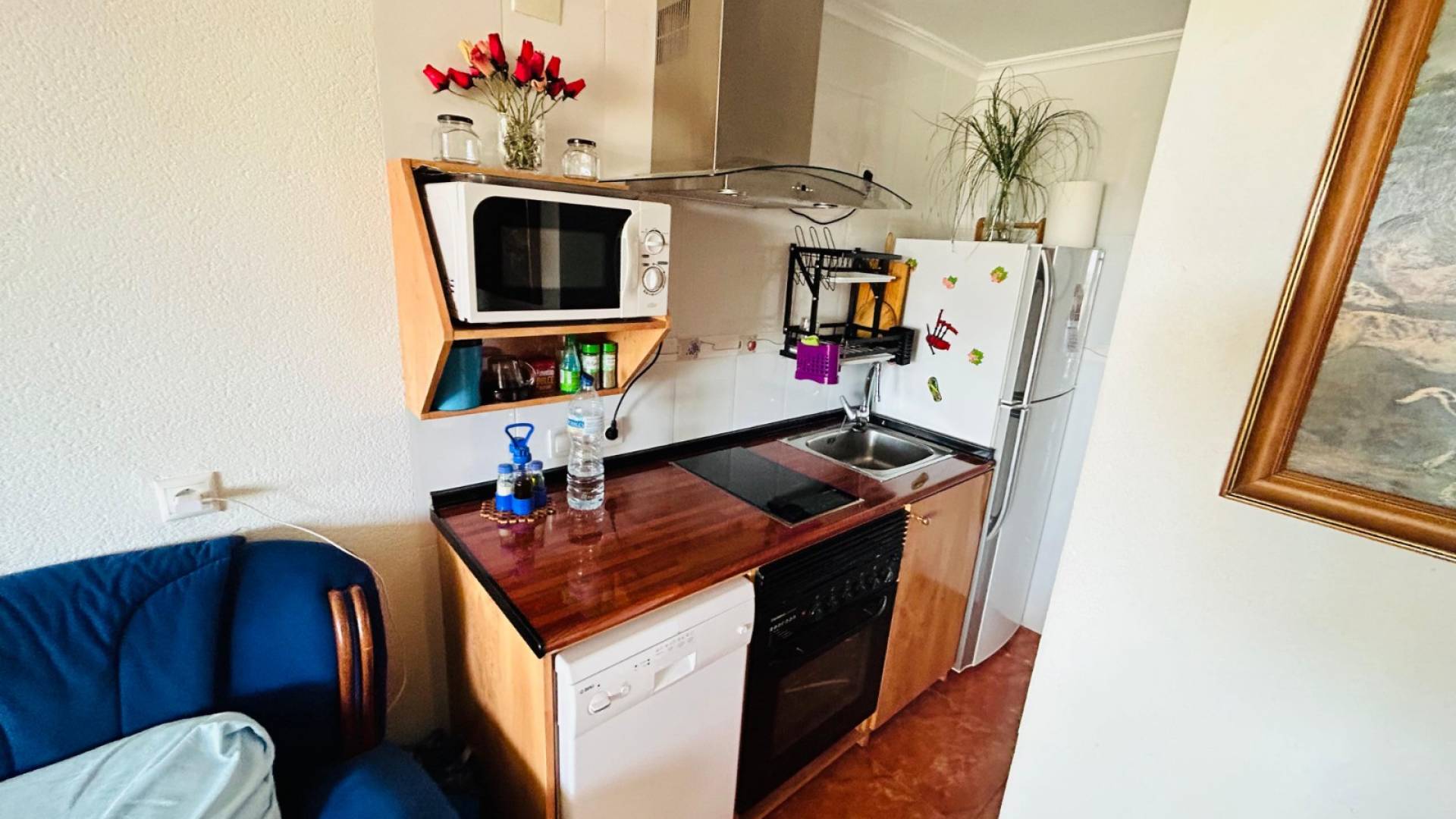 Segunda Mano - Bungalow - Torrevieja - La Siesta - El Salado -  Torreta