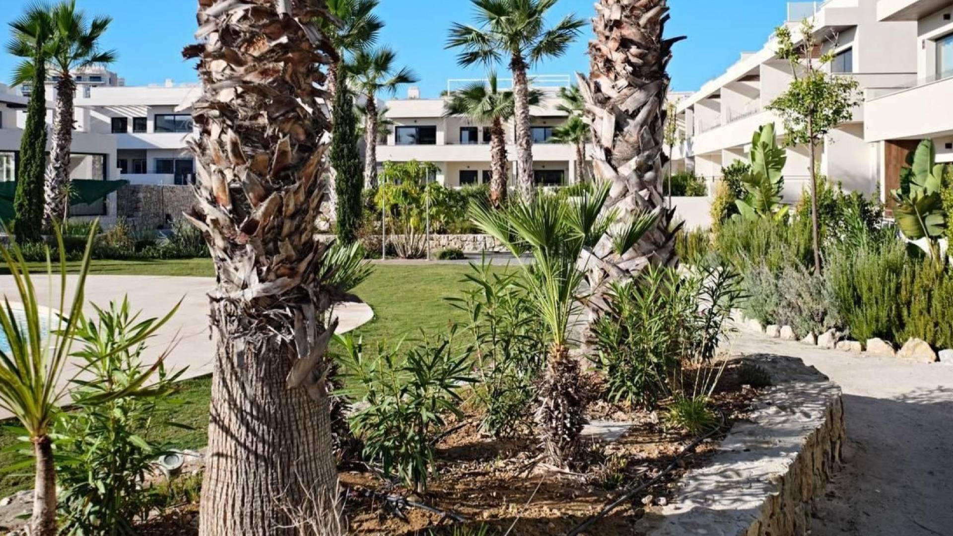 Segunda Mano - Bungalow - Torrevieja - La Veleta