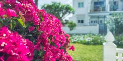 Segunda Mano - Bungalow - Torrevieja - Lago jardin