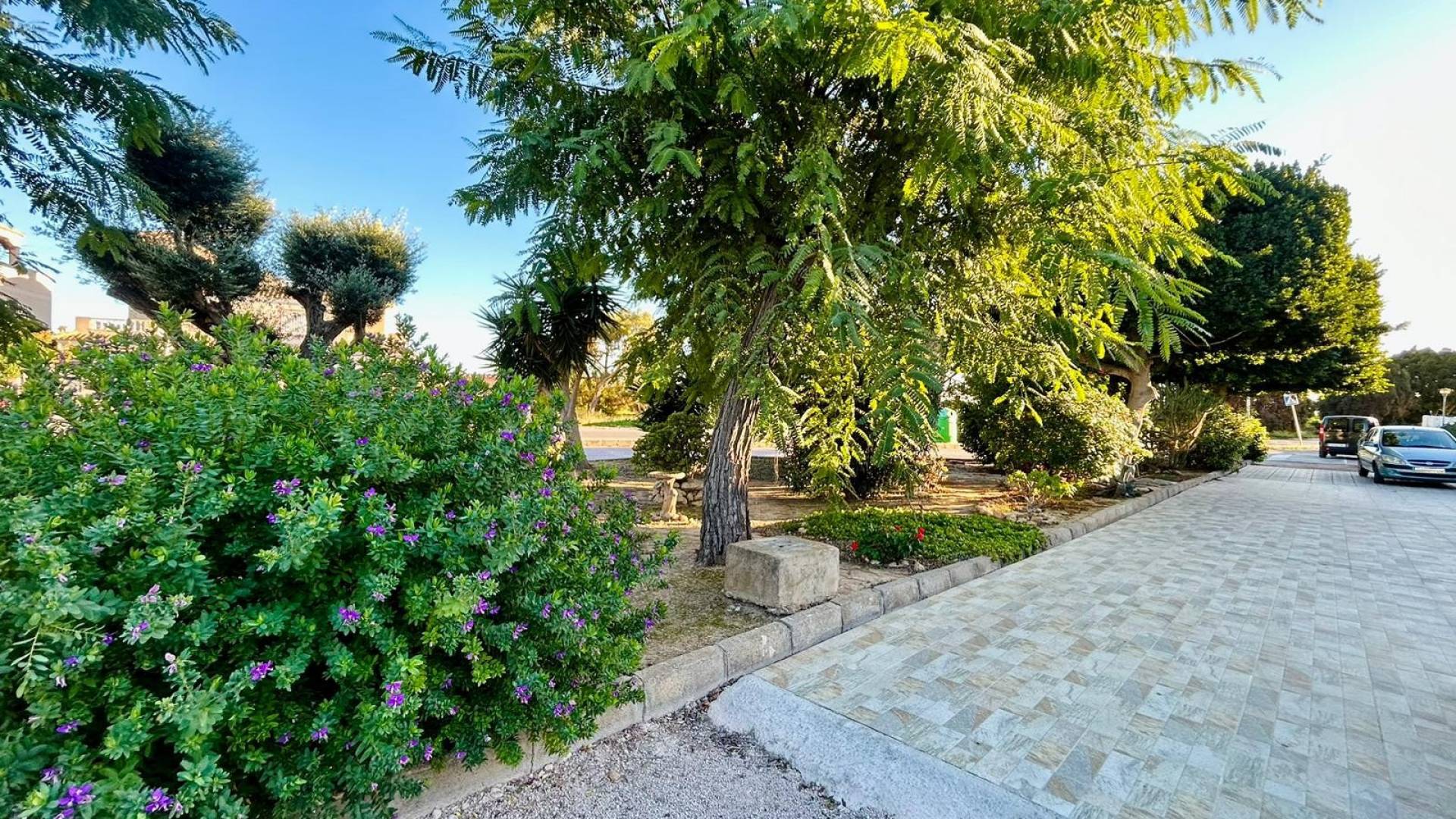 Segunda Mano - Bungalow - Torrevieja - Urbanización San Luis