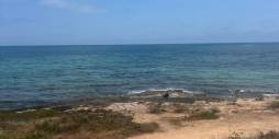 Segunda Mano - Bungalow - Torrevieja