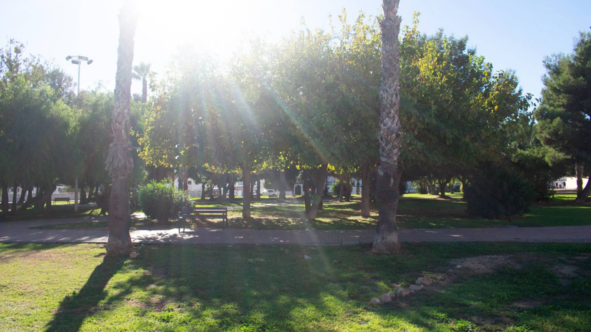 Segunda Mano - Duplex - Torrevieja