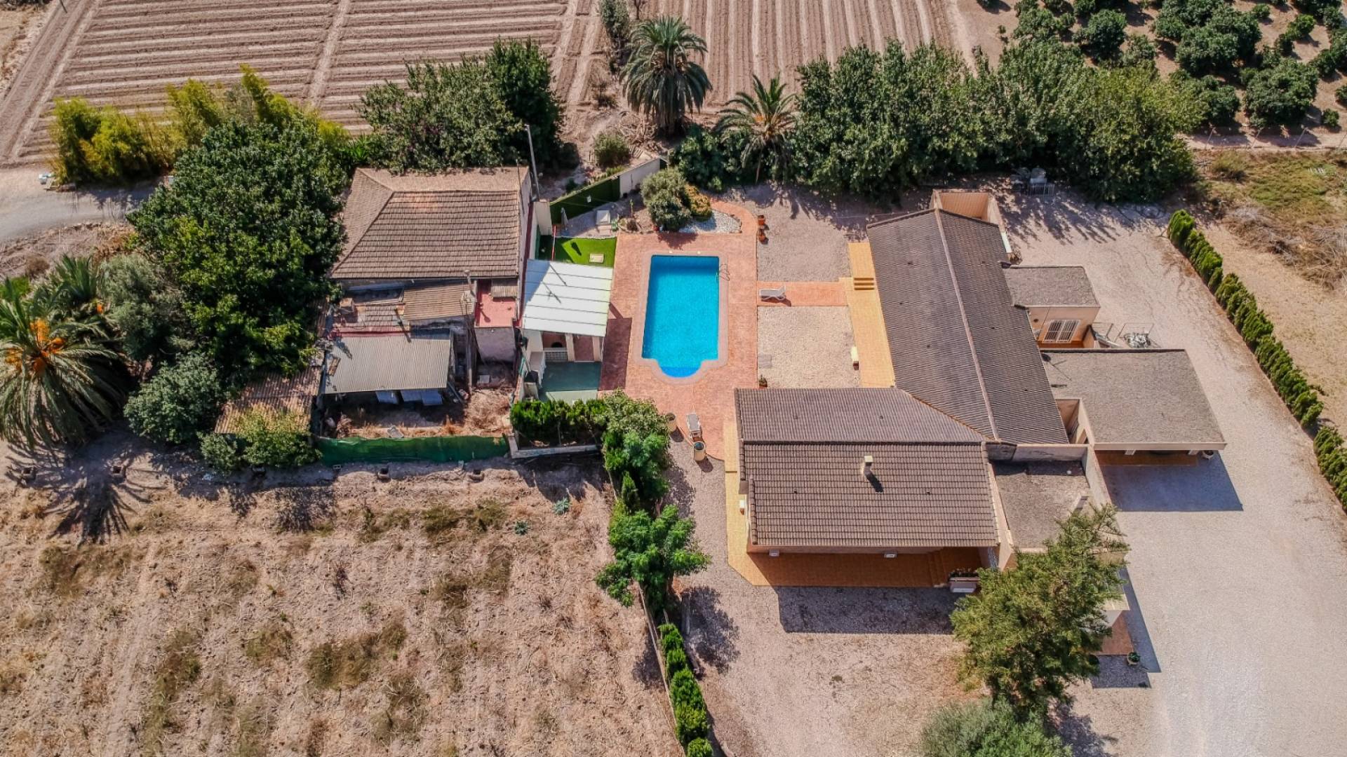 Segunda Mano - Finca rural - Almoradi - Almoradí