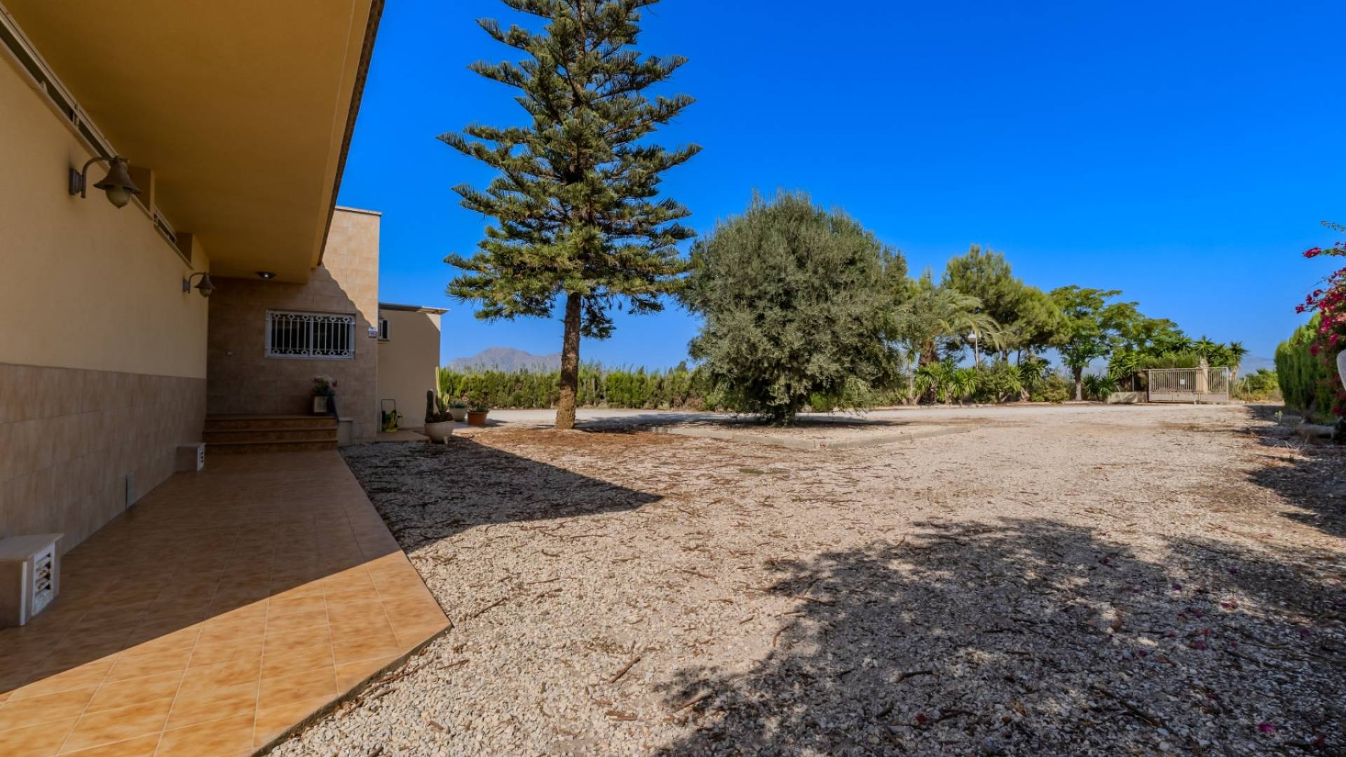 Segunda Mano - Finca rural - Almoradi - Almoradí