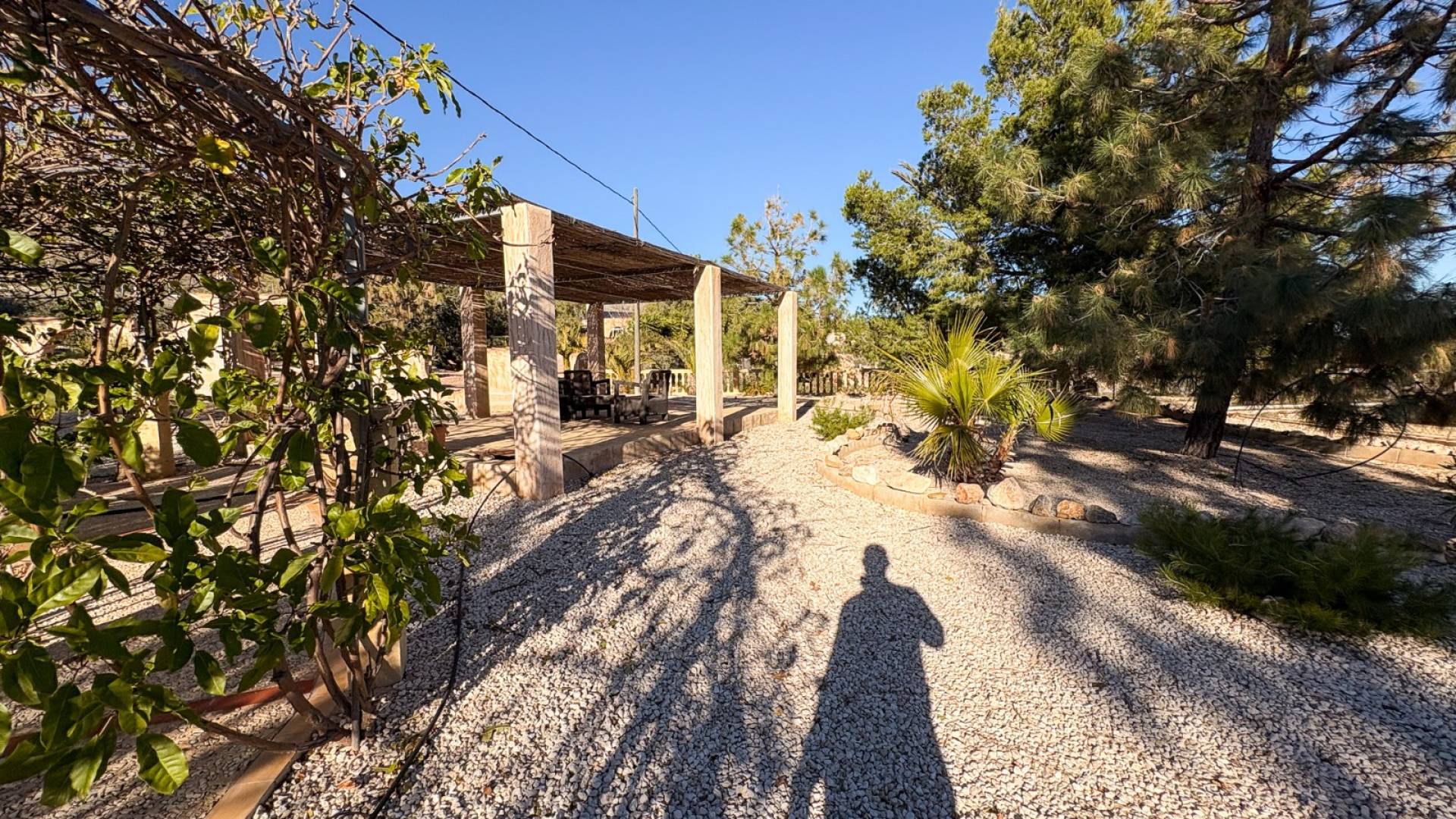 Segunda Mano - Finca rural - Crevillente