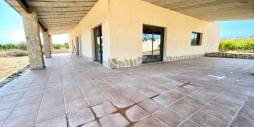 Segunda Mano - Finca rural - Elche - Matola