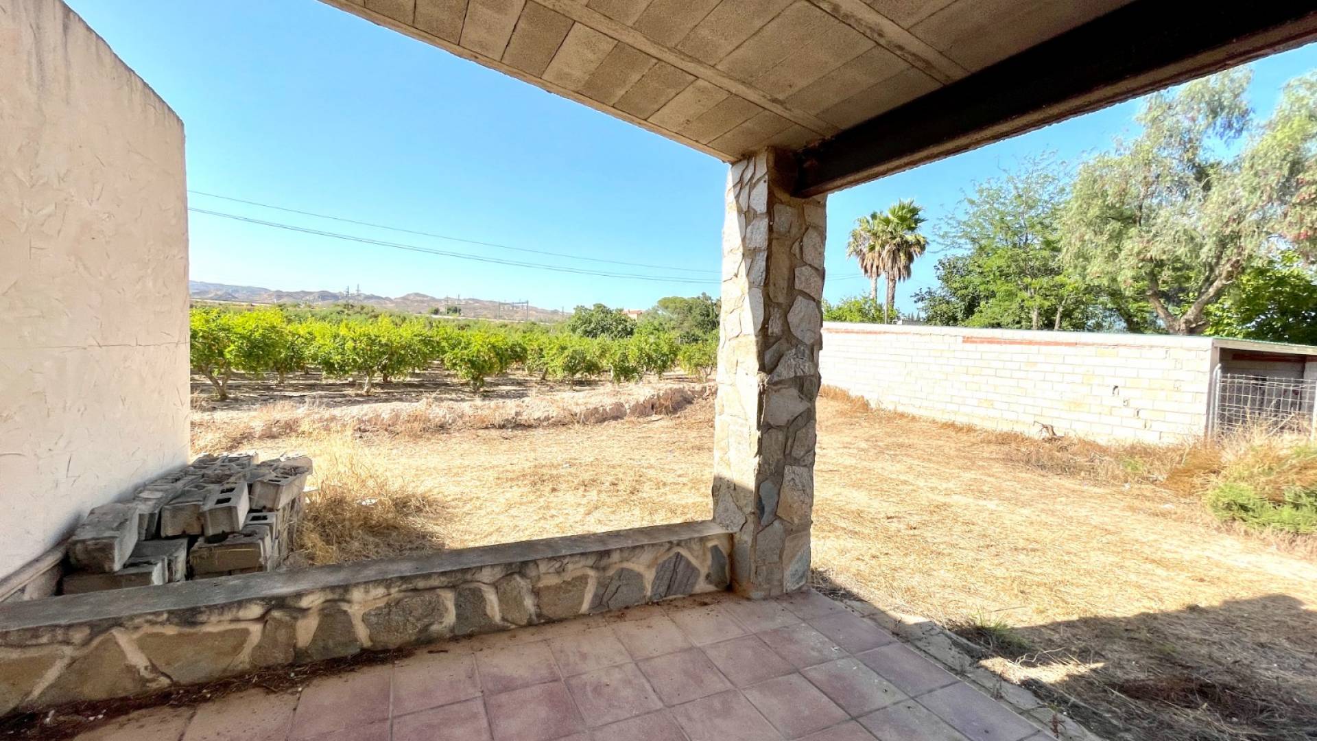 Segunda Mano - Finca rural - Elche - Matola