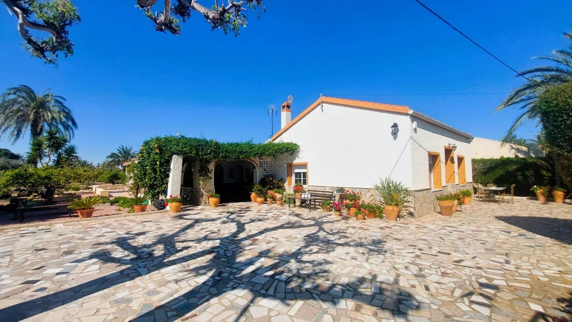 Segunda Mano - Finca rural - La marina - La Marina del Pinet