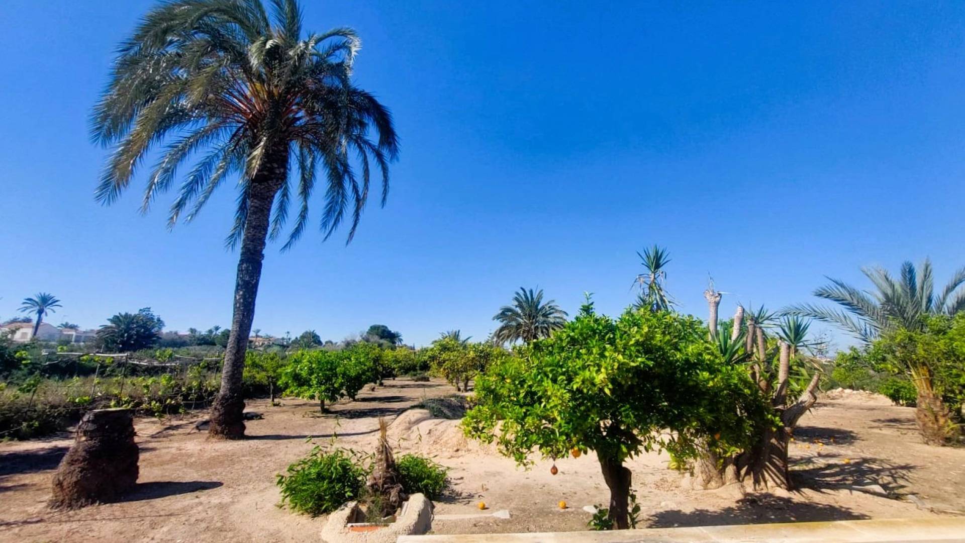 Segunda Mano - Finca rural - La marina - La Marina del Pinet
