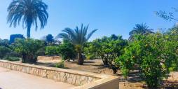 Segunda Mano - Finca rural - La marina - La Marina del Pinet