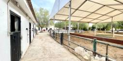 Segunda Mano - Finca rural - Orihuela
