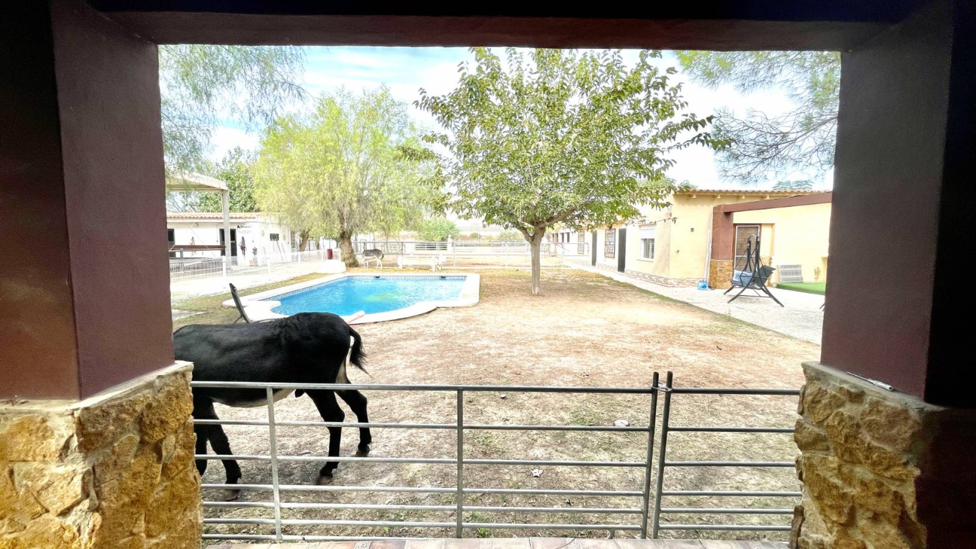 Segunda Mano - Finca rural - Orihuela
