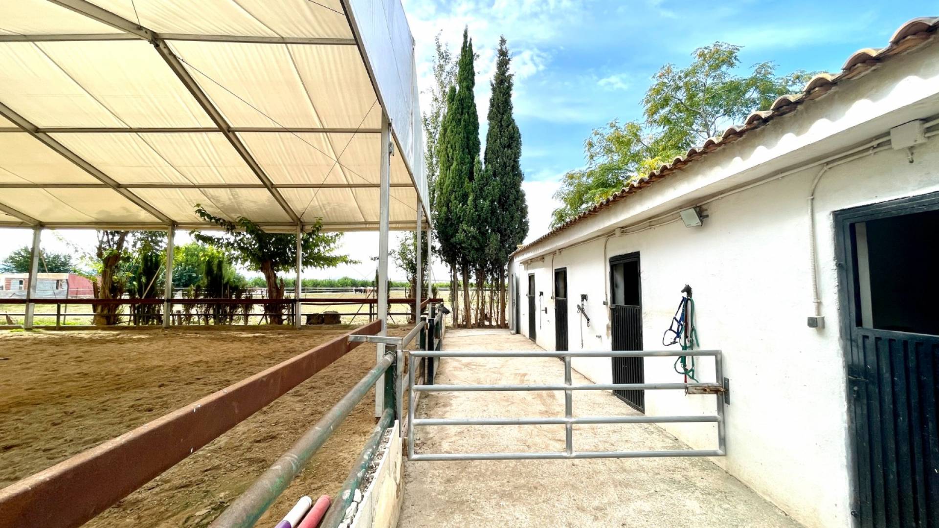 Segunda Mano - Finca rural - Orihuela