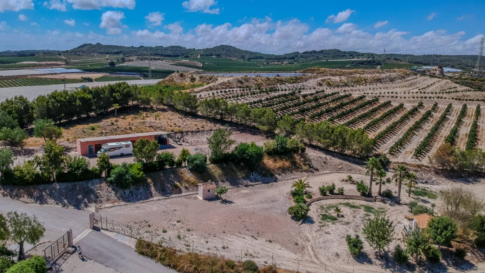 Segunda Mano - Finca rural - San Miguel de Salinas - Torremendo