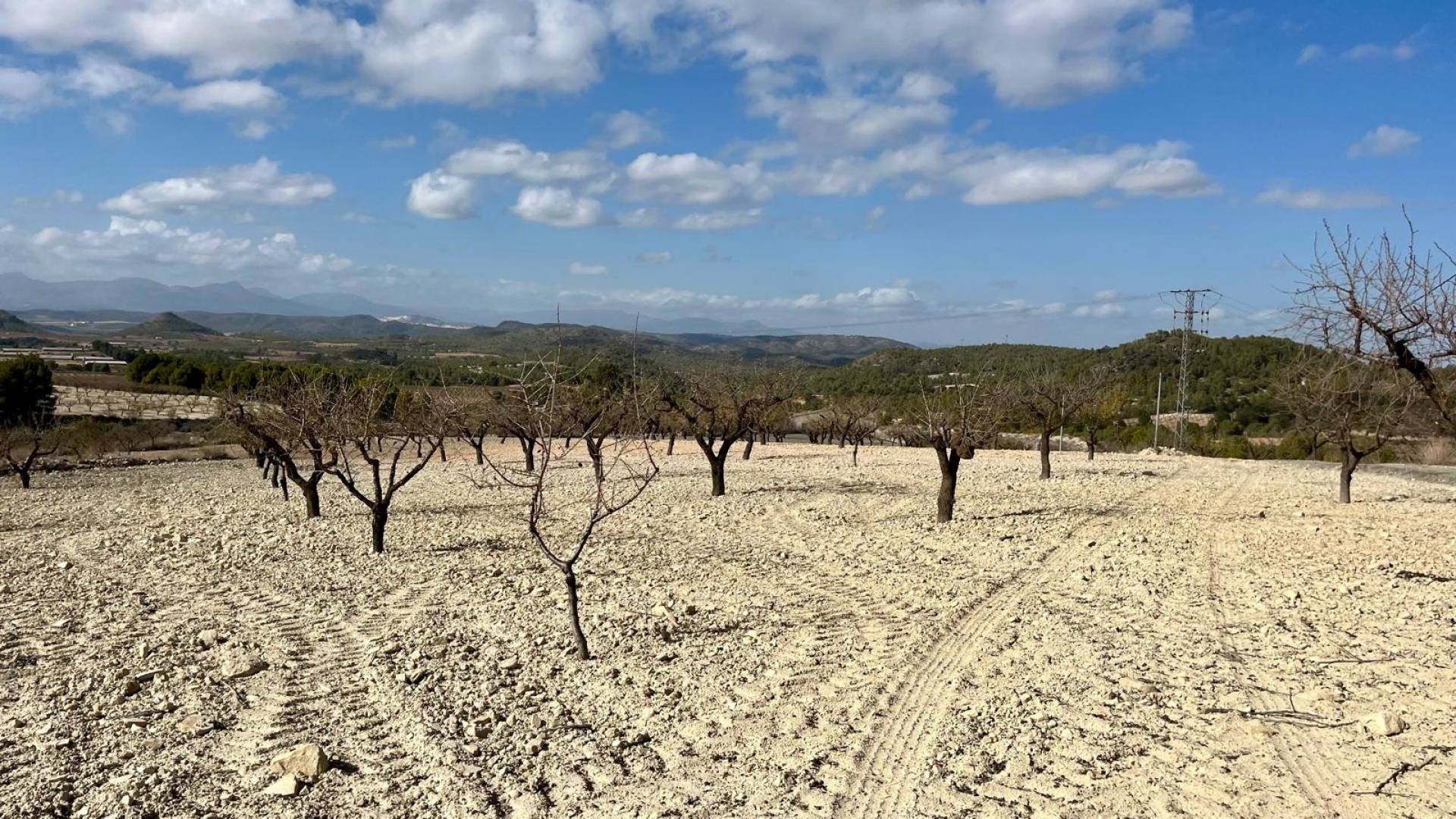 Segunda Mano - Solar Terreno - Bullas - Costa Calida