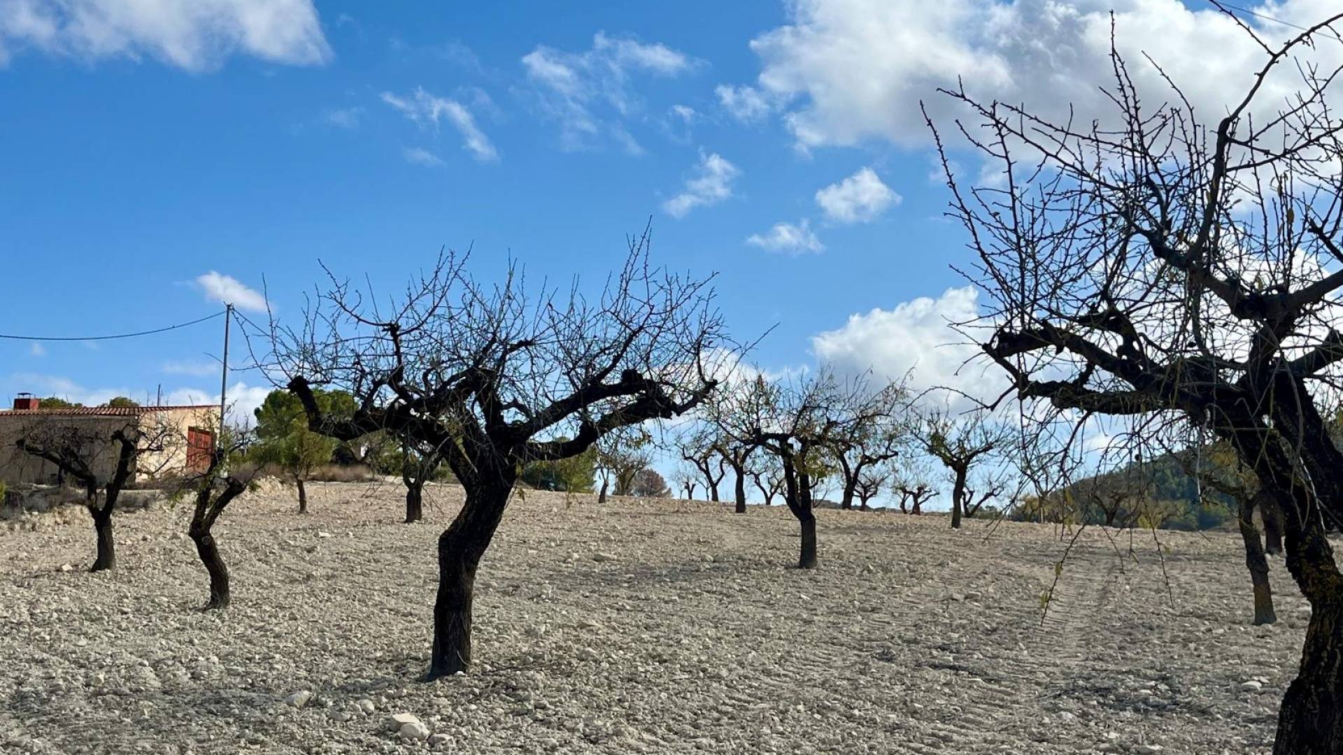 Segunda Mano - Solar Terreno - Bullas - Costa Calida