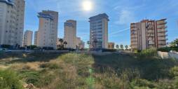Segunda Mano - Solar Terreno - Guardamar del Segura
