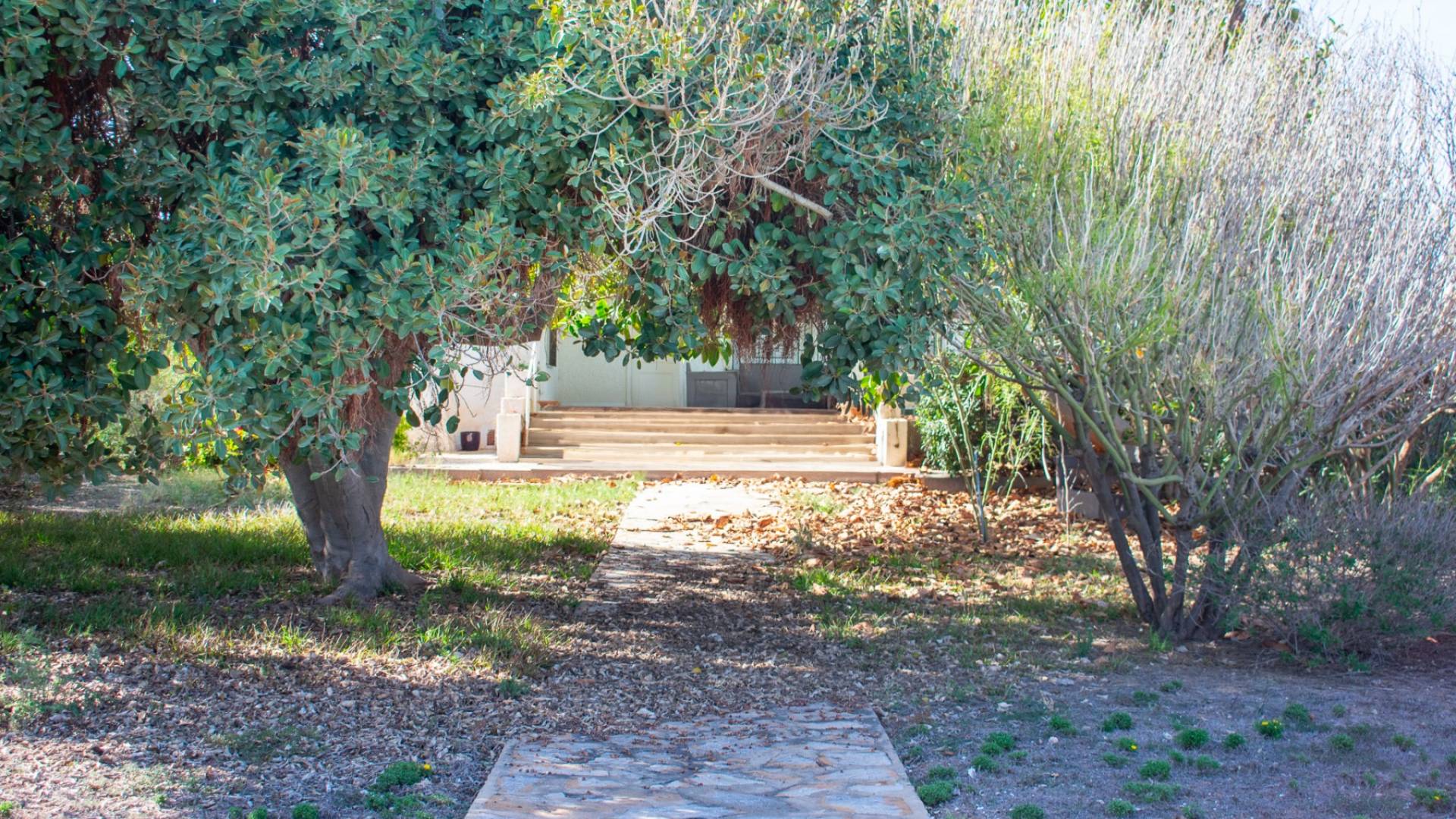 Segunda Mano - Solar Terreno - Orihuela Costa - Cabo Roig