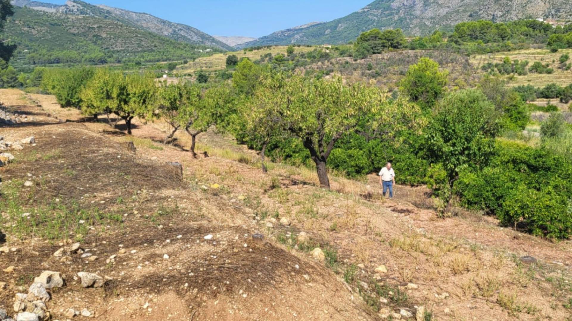 Segunda Mano - Solar Terreno - Parcent - Partida Durmais