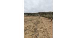 Segunda Mano - Solar Terreno - Villena - Cabanes Y Las Fuentes