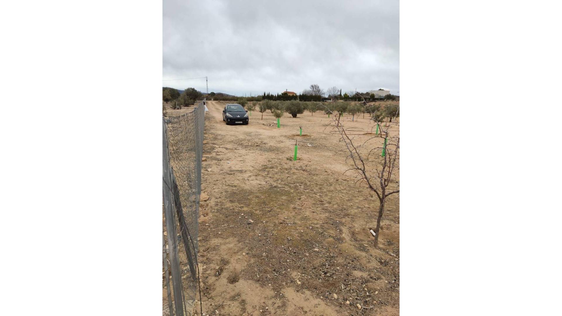 Segunda Mano - Solar Terreno - Villena - Cabanes Y Las Fuentes