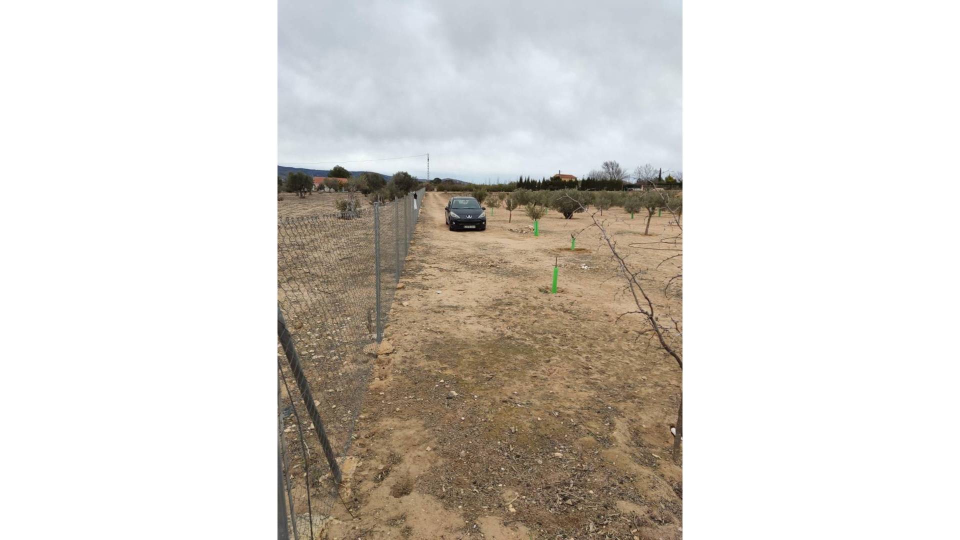 Segunda Mano - Solar Terreno - Villena - Cabanes Y Las Fuentes