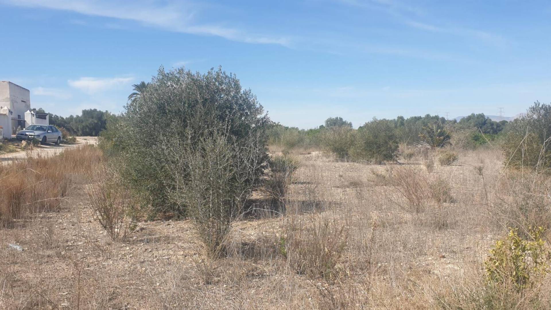 Segunda Mano - Terreno - Benferri - HUERTA PUEBLO