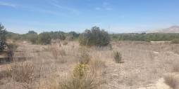 Segunda Mano - Terreno - Benferri - HUERTA PUEBLO