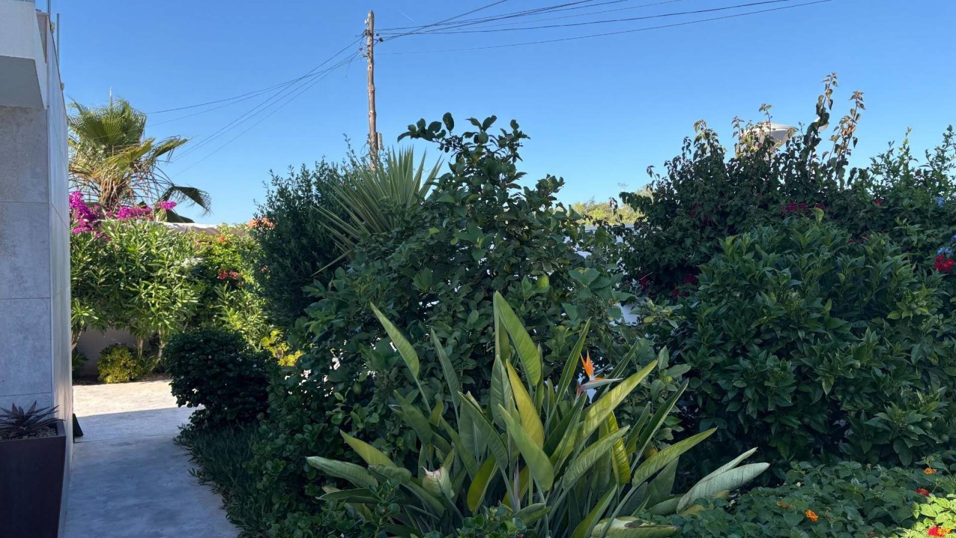 Segunda Mano - Villa / Casa - Torrevieja - La siesta