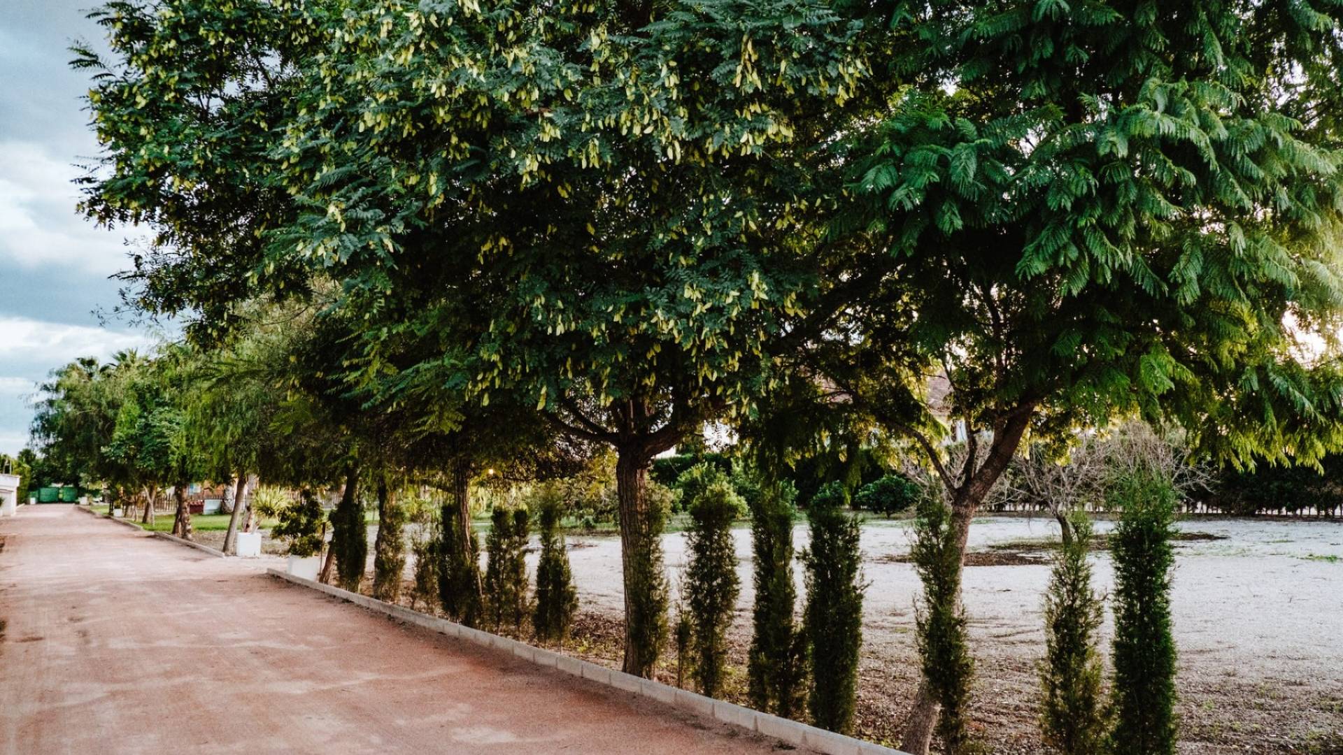Segunda Mano - Villa independiente - Catral