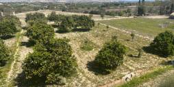Segunda Mano - Villa independiente - Guardamar del Segura - Valencian Community