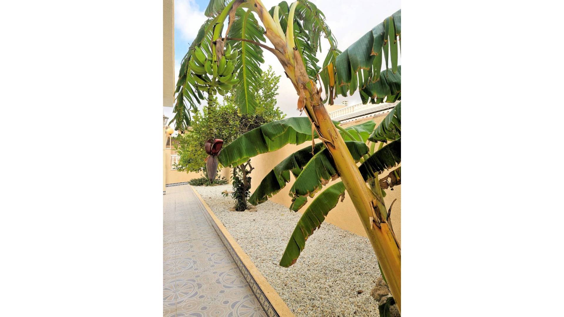 Segunda Mano - Villa independiente - Los Urrutias - Estrella De Mar