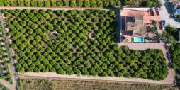 Segunda Mano - Villa independiente - Orihuela - CAMPO
