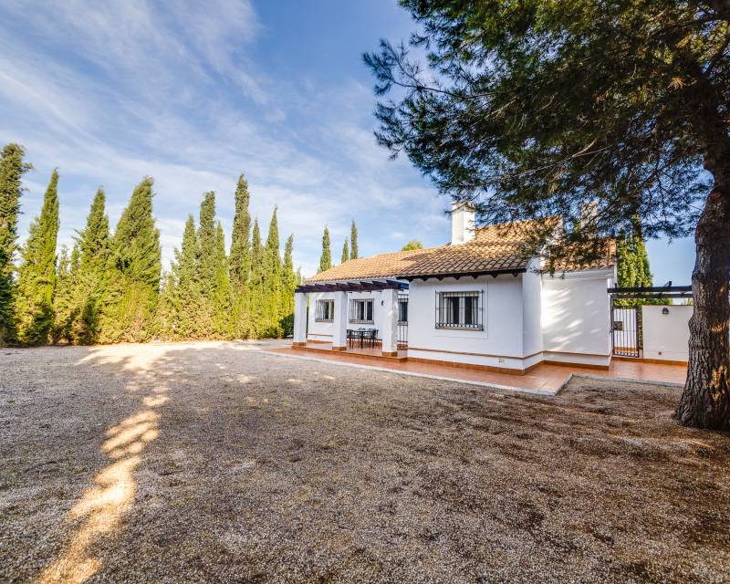 Semi detached house · New Build · Fuente Alamo · Fuente Alamo