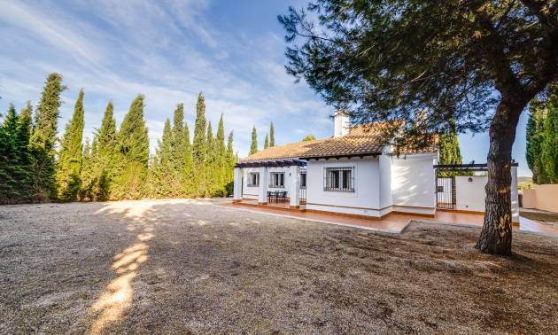 Semi detached house - New Build - Fuente Alamo - Fuente Alamo