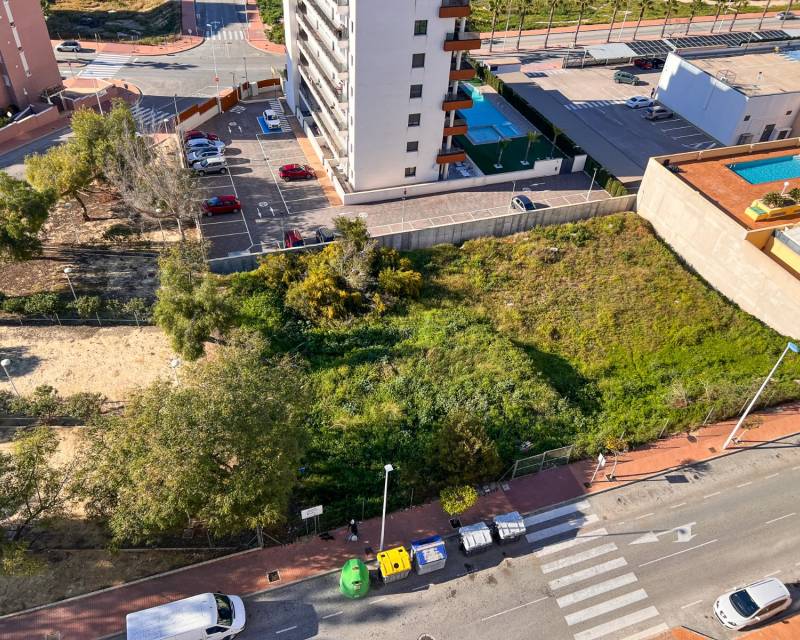 Solar Terreno · Segunda Mano · Guardamar del Segura · Guardamar del Segura
