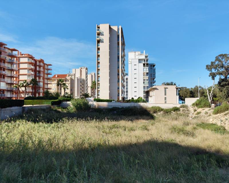 Solar Terreno · Segunda Mano · Guardamar del Segura · Guardamar del Segura