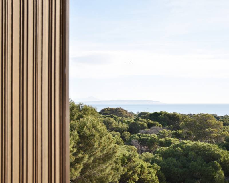 Solar Terreno · Segunda Mano · Guardamar del Segura · Guardamar pueblo