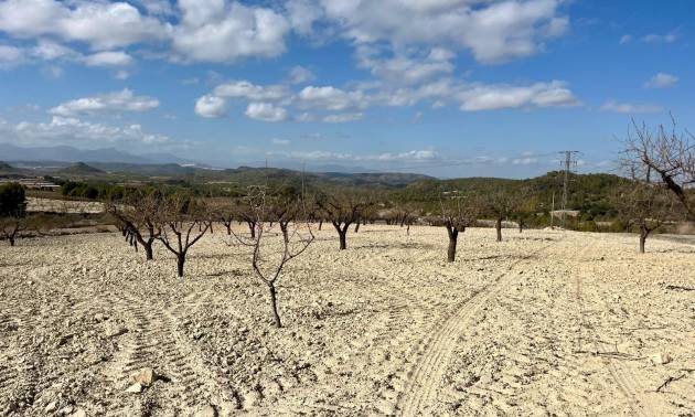 Terrain - D'occasion - Bullas - Costa Calida