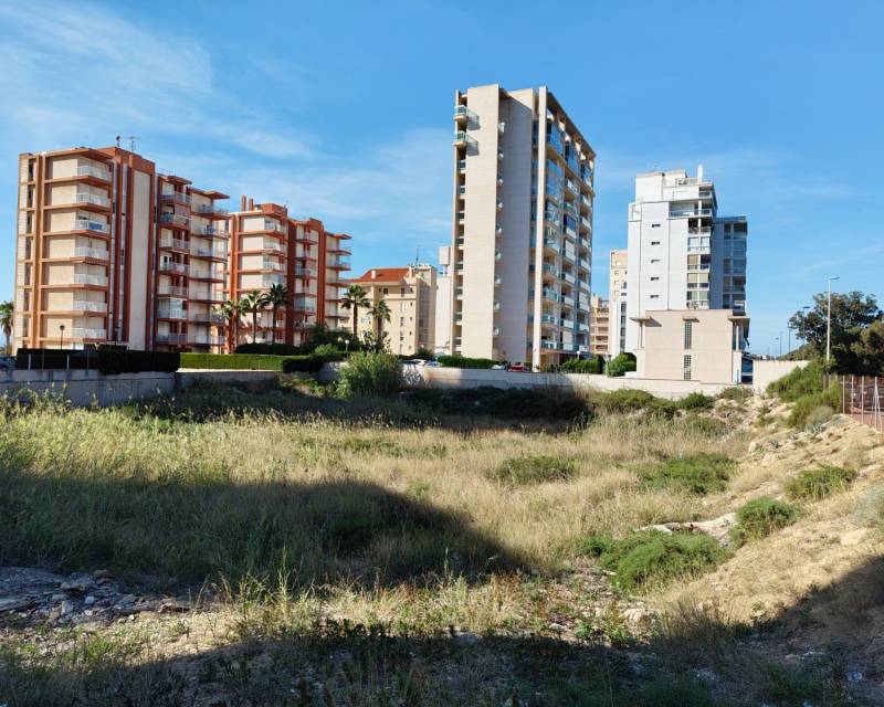 Terrain · D'occasion · Guardamar del Segura · Guardamar pueblo