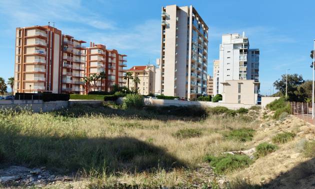 Terrain - D'occasion - Guardamar del Segura - Guardamar pueblo