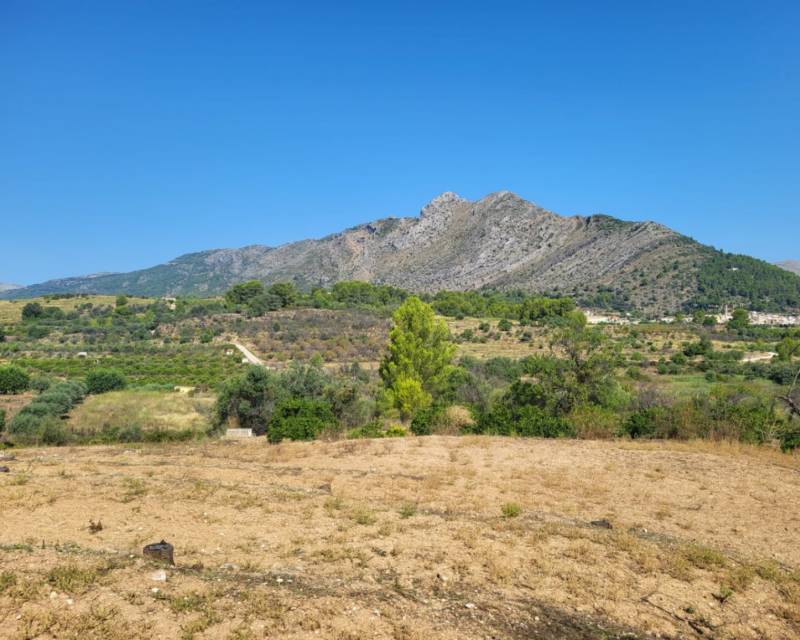 Terrain · D'occasion · Parcent · Partida Durmais